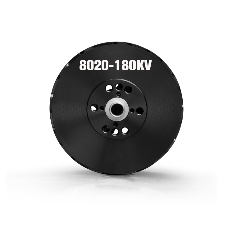 BGS-FW8020 AT Series Motors