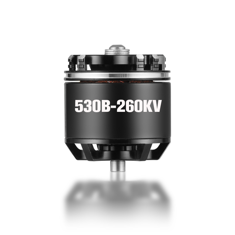 BGS-FW530B AX Series Motors