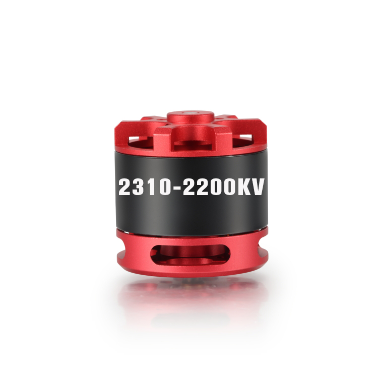 BGS-FW2310 Long Axis AT Series Motors