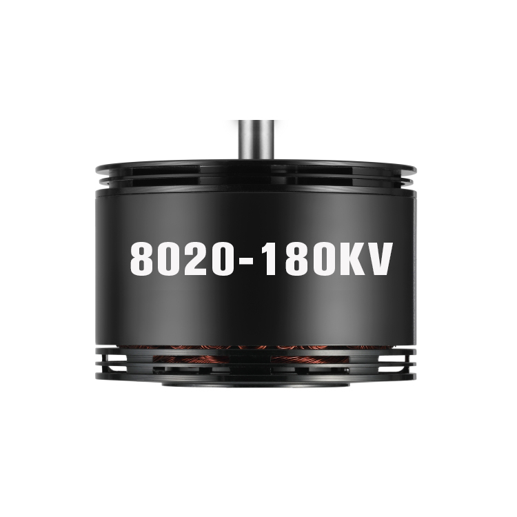 BGS-FW8020 AT Series Motors